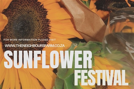 The Neighbours Farm - Sunflower Festival
